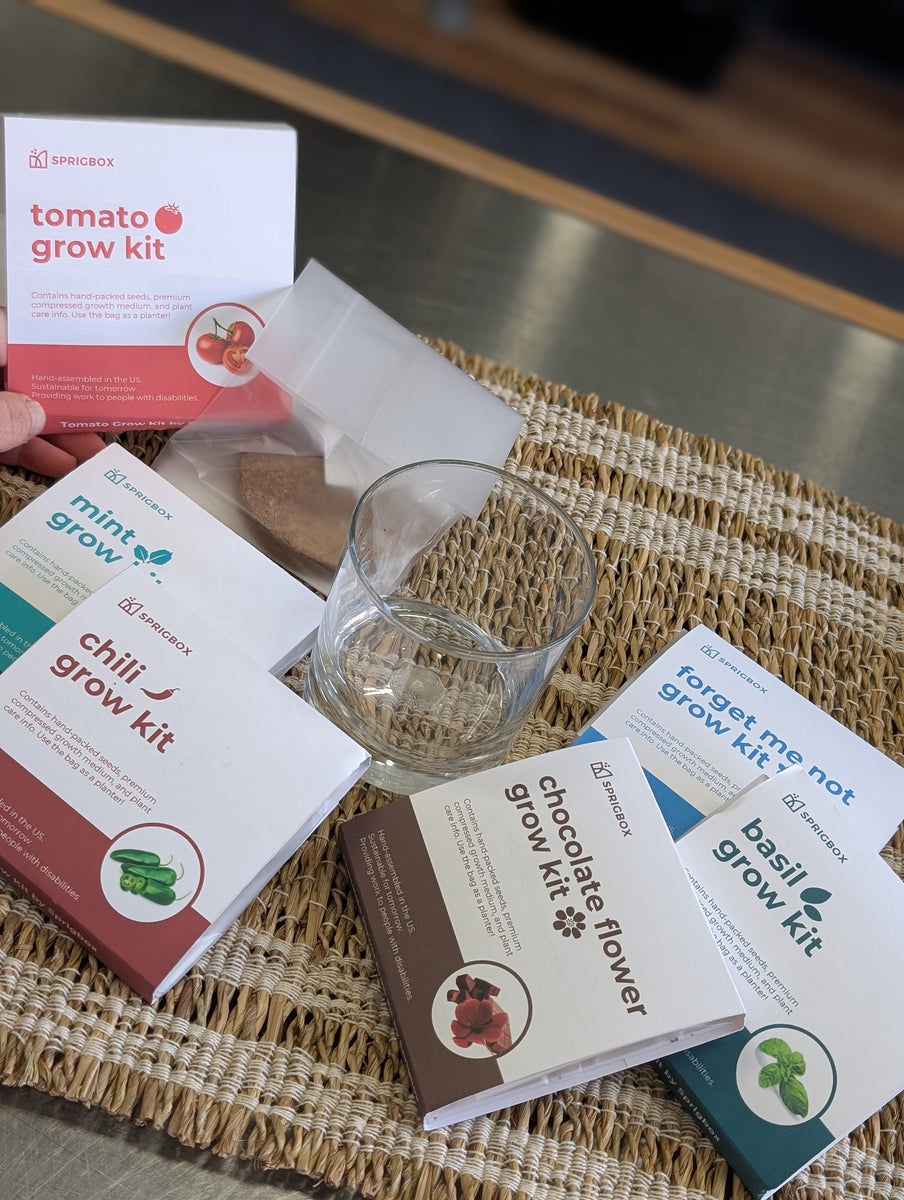 candles with seeds to plant Seed Grow Kit