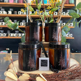 NEW! THE GREAT OUTDOORS COLLECTION - Double Wicked 16oz Amber Glass - Buy 3 Get 1 Free!