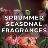 NEW + SEASONAL FRAGRANCES - SPRUMMER '26 - BUY 3 GET 1 FREE