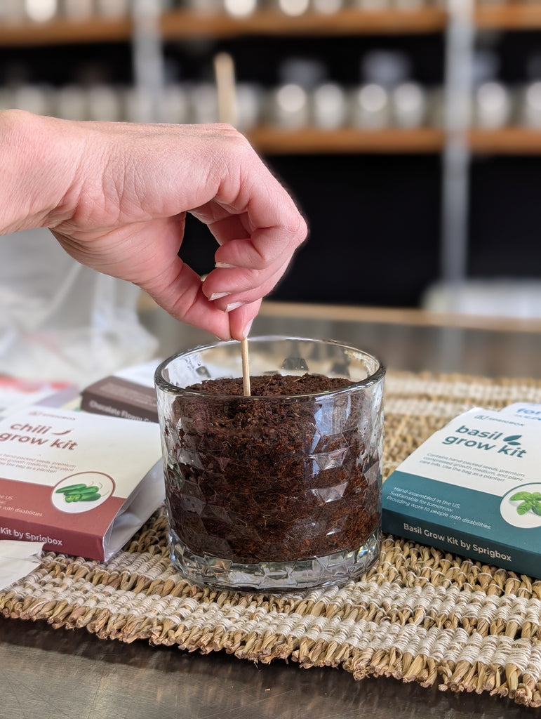 candles with seeds to plant Seed Grow Kit